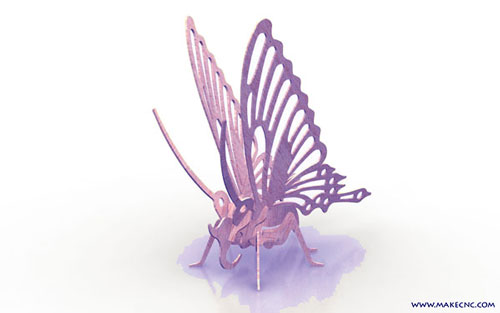 butterfly